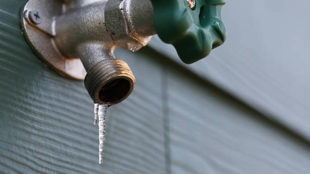 Best Local Plumber Services  in Syracuse, IN
